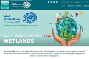 World Wetlands Day: Value • Manage • Restore • Love - Overstrand ...