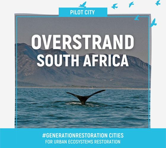 Overstrand Municipality Announced as one of the UNEP six new cities joining #GENERATIONRESTORATION